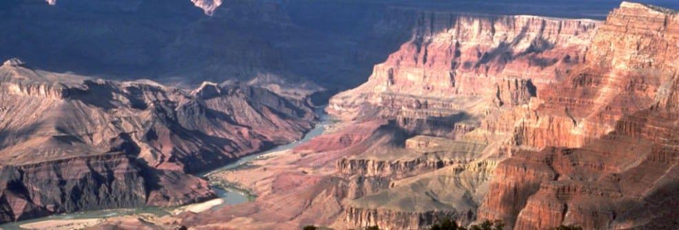 Grand Canyon River Coral
